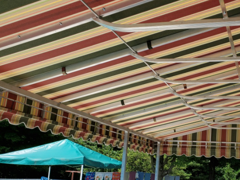 Toldo_PCR